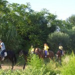 Escursioni a cavallo sul Gargano
